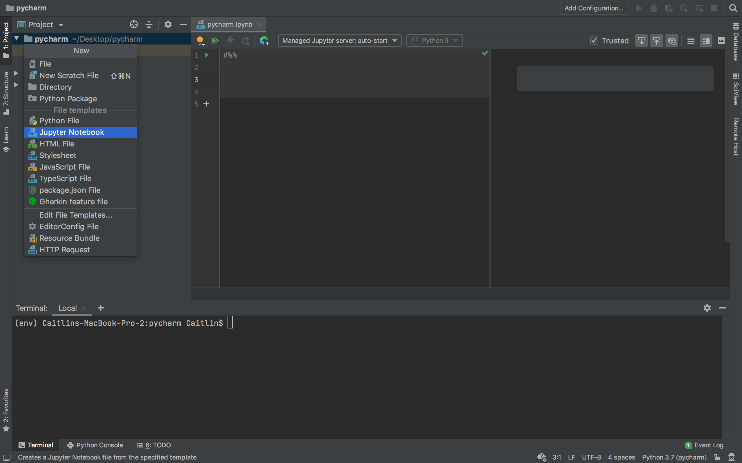 Pycharm Configure Python Interpreter Wildnanax